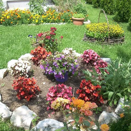 Jeca Διαμέρισμα